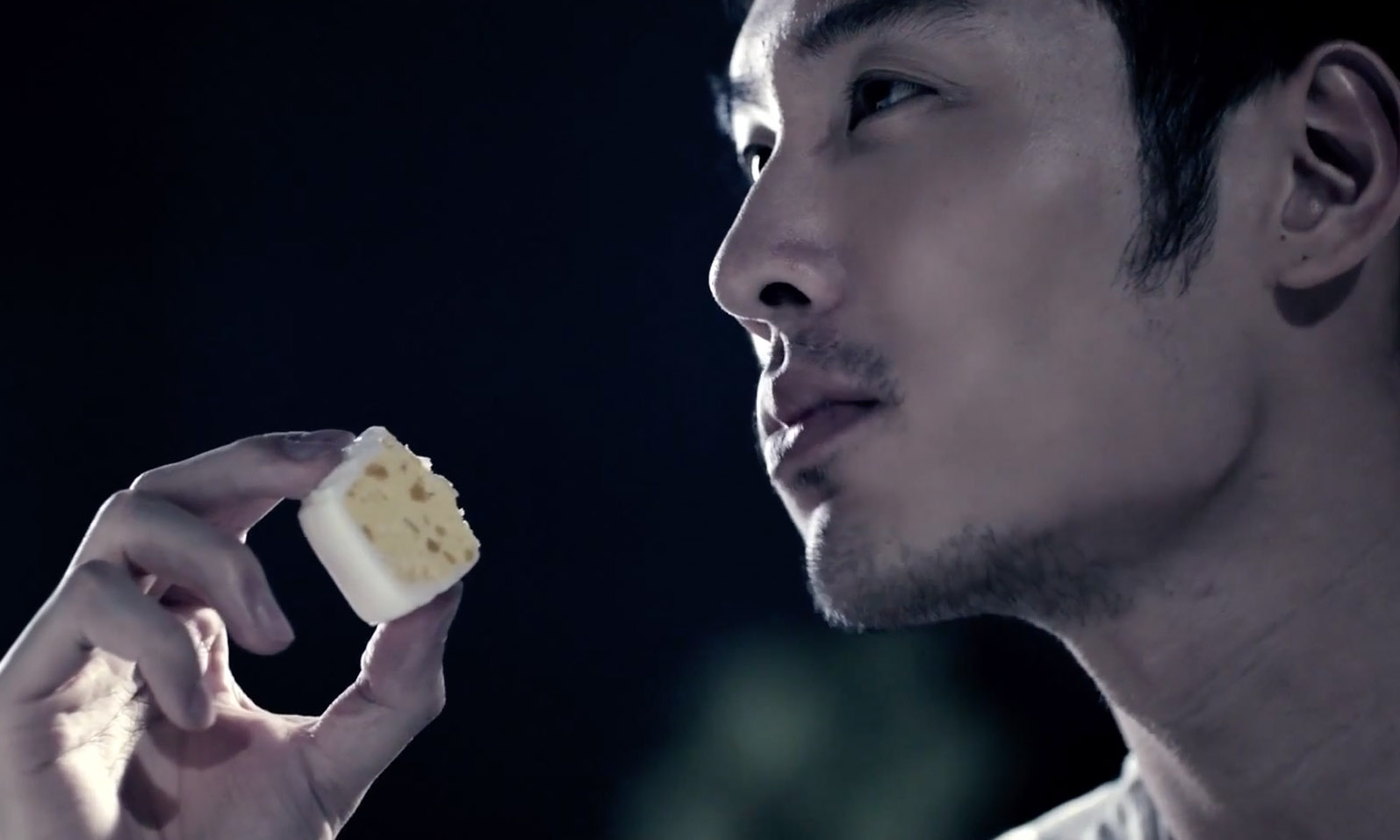 Taipan Mooncake TVC<i></i>